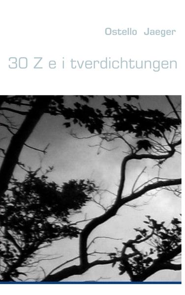 Cover von 30 Z e i tverdichtungen