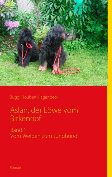 Cover von Aslan, der Löwe vom Birkenhof