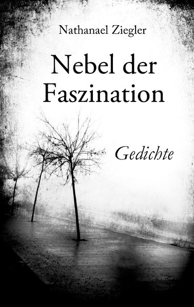 Cover von Nebel der Faszination