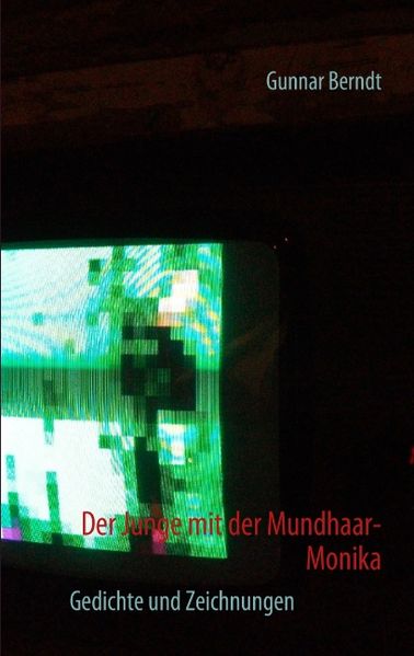 Cover von Der Junge mit der Mundhaar-Monika