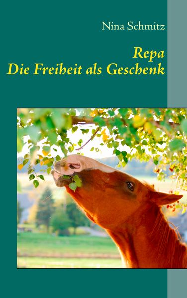 Cover von Repa