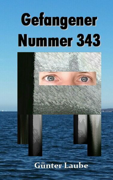 Cover von Gefangener Nummer 343