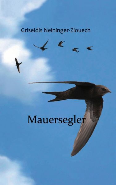 Cover von Mauersegler