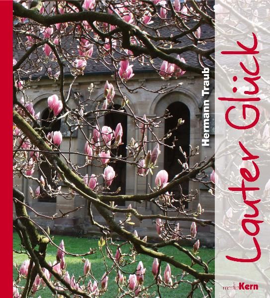 Cover von Lauter Glück
