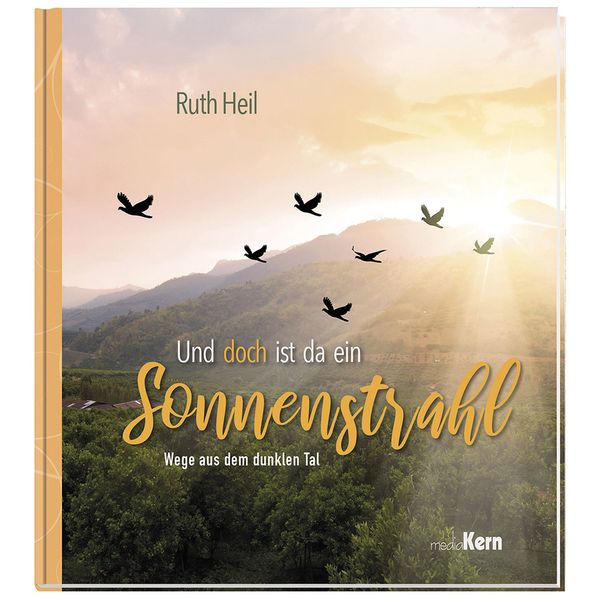 Cover von Und doch ist da ein Sonnenstrahl