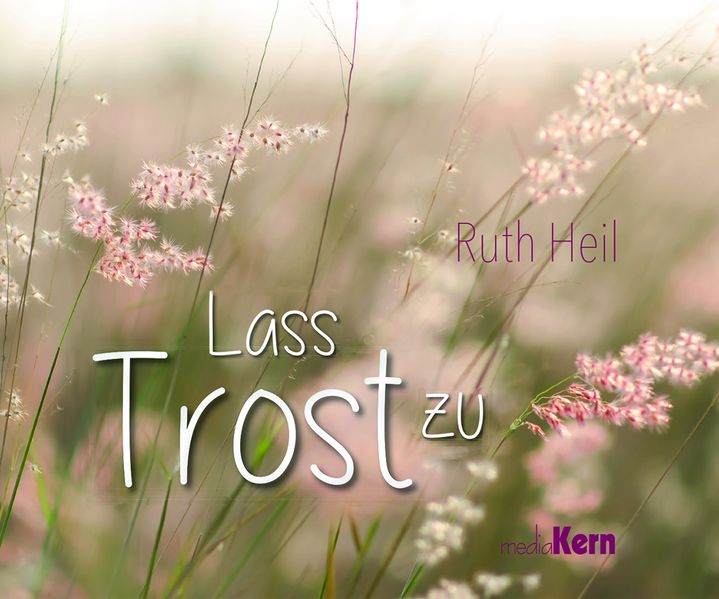 Cover von Lass Trost zu