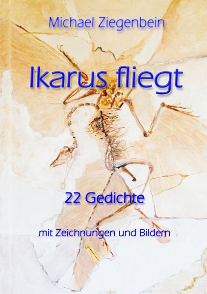 Cover von Ikarus fliegt