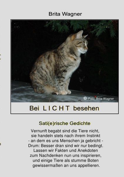 Cover von Bei Licht besehen
