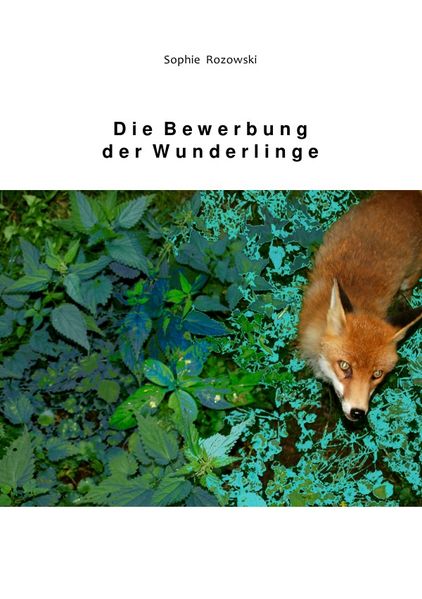 Cover von Die Bewerbung der Wunderlinge