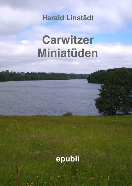 Cover von Carwitzer Miniatüden