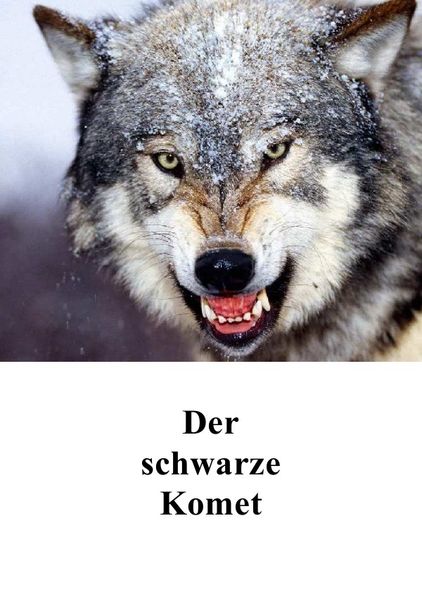 Cover von Der schwarze Komet