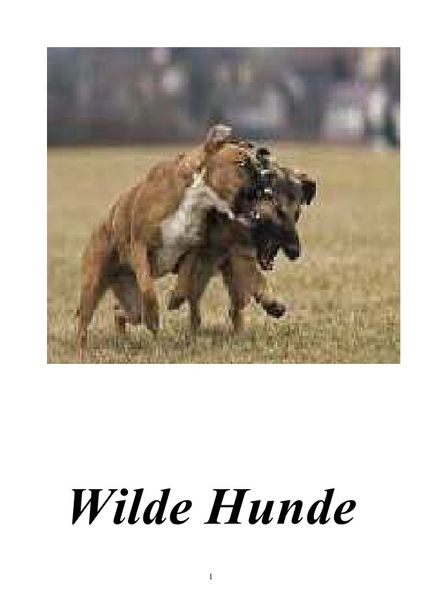 Cover von Wilde Hunde
