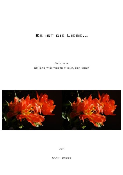 Cover von Es ist die Liebe