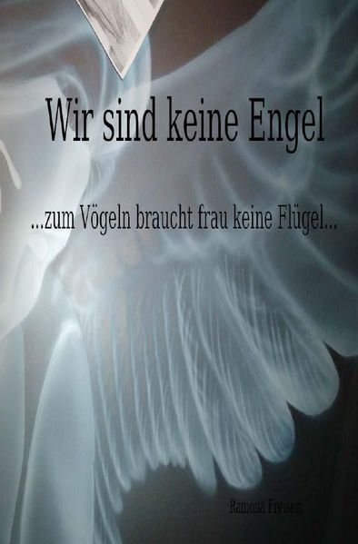 Cover von Wir sind keine Engel …zum Vögeln braucht frau keine Flügel…