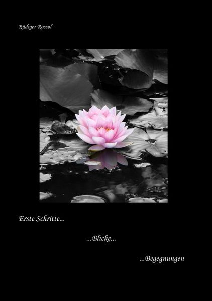 Cover von Erste Schritte … Blicke … Begegnungen