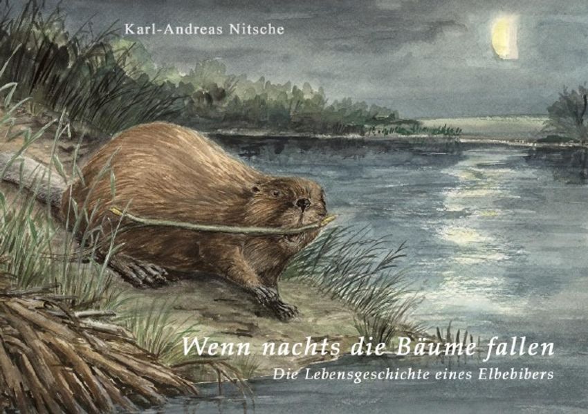 Cover von Wenn nachts die Bäume fallen