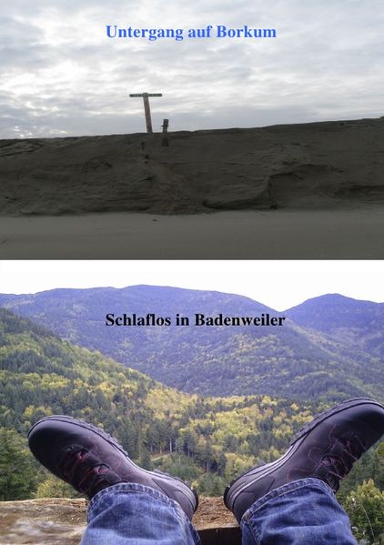 Cover von Rehatagebücher