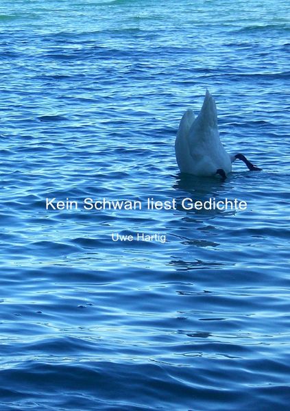Cover von Kein Schwan liest Gedichte