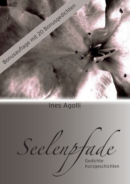 Cover von Seelenpfade