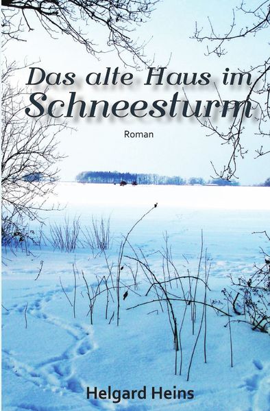 Cover von Das alte Haus im Schneesturm