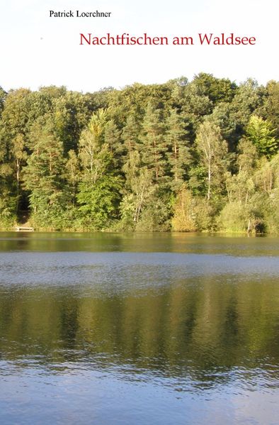 Cover von Nachtfischen am Waldsee