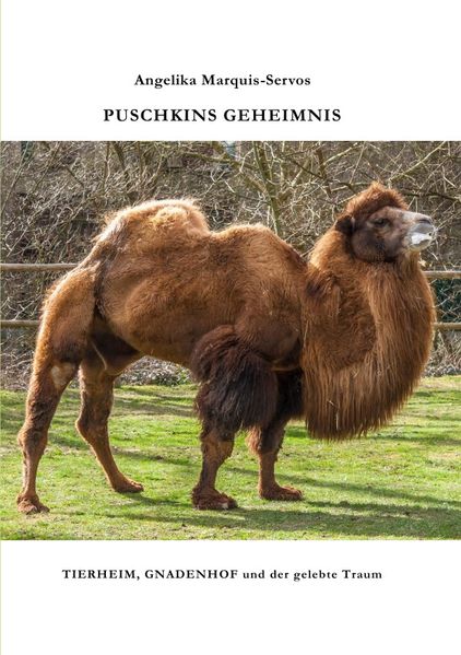 Cover von PUSCHKINS GEHEIMNIS
