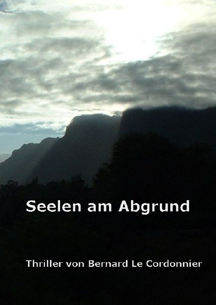 Cover von Seelen am Abgrund