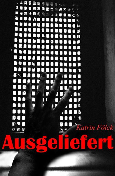 Cover von Zerrissen