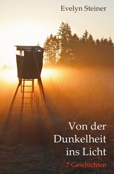 Cover von Von der Dunkelheit ins Licht