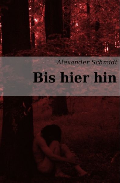 Cover von Bis hier hin