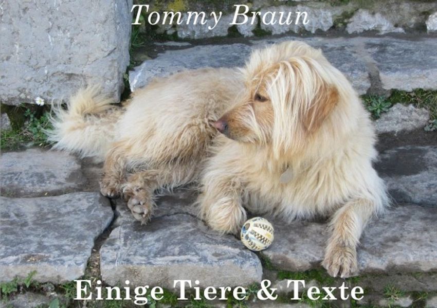 Cover von Einige Tiere & Texte