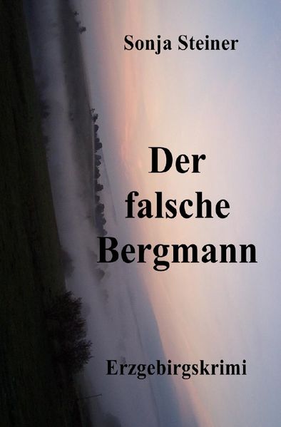 Cover von Der fasche Bergmann