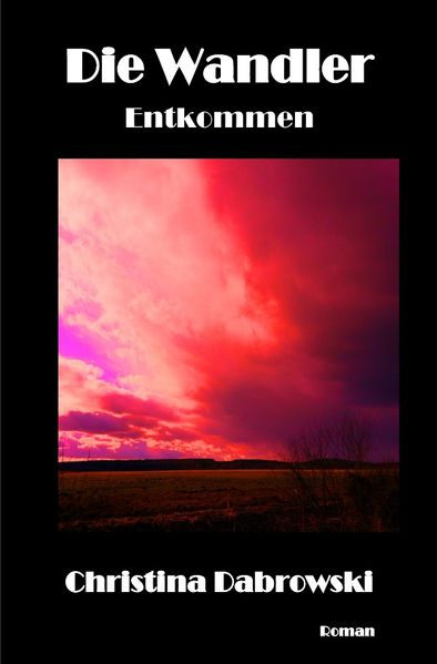 Cover von Die Wandler