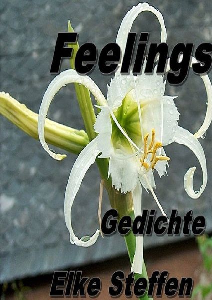 Cover von Feelings Gedichte