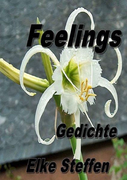 Cover von Feelings Gedichte