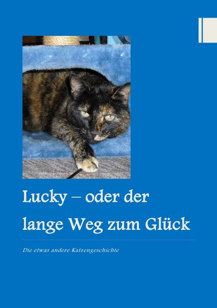 Cover von Lucky – oder der lange Weg zum Glück