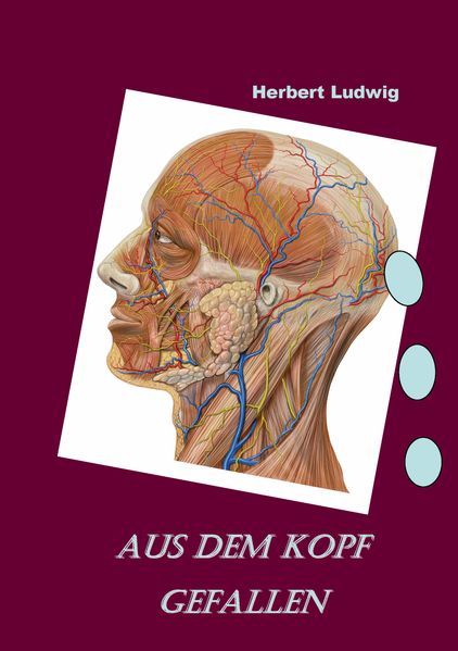 Cover von Aus dem Kopf gefallen