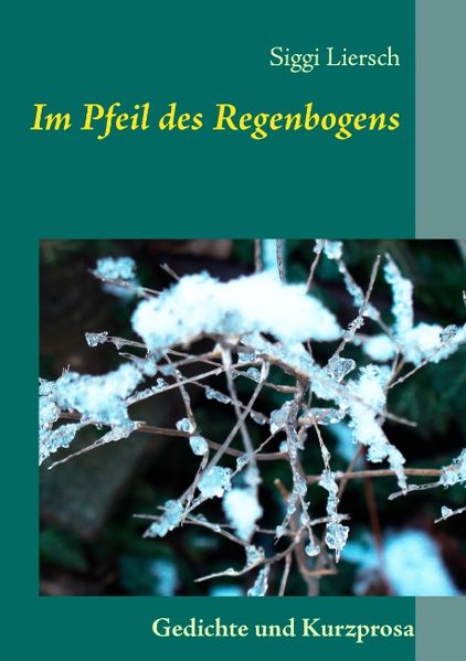Cover von Im Pfeil des Regenbogens