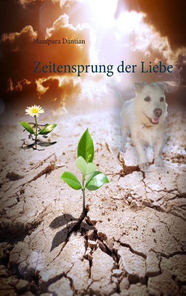 Cover von Zeitensprung der Liebe