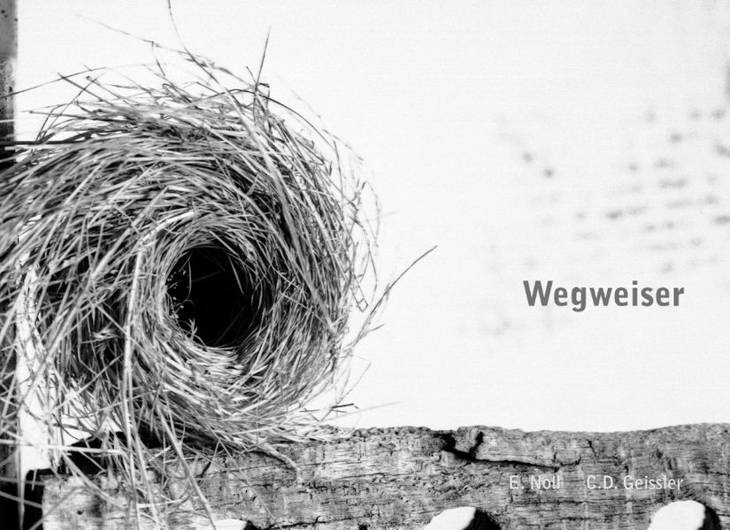Cover von Wegweiser