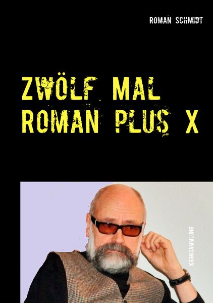Cover von Zwölf Mal Roman plus X
