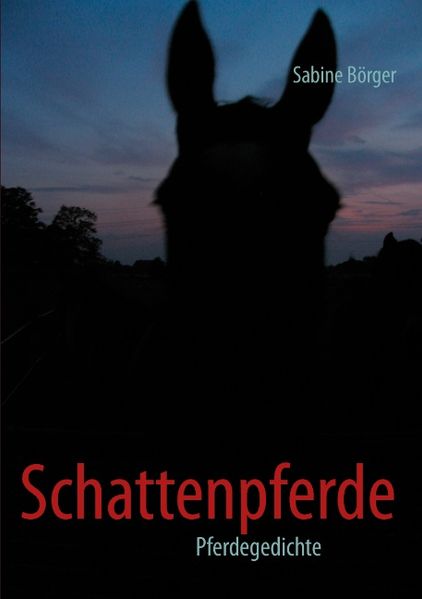 Cover von Schattenpferde