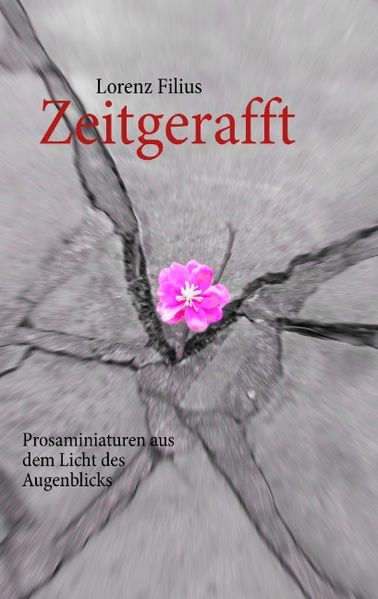 Cover von Zeitgerafft