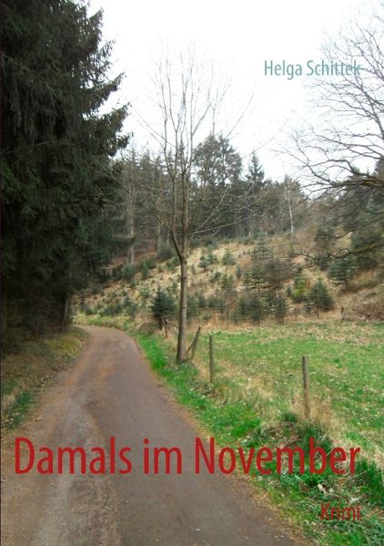 Cover von Damals im November