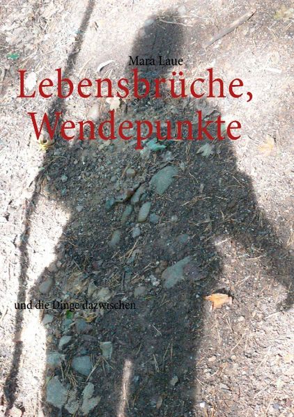Cover von Lebensbrüche, Wendepunkte