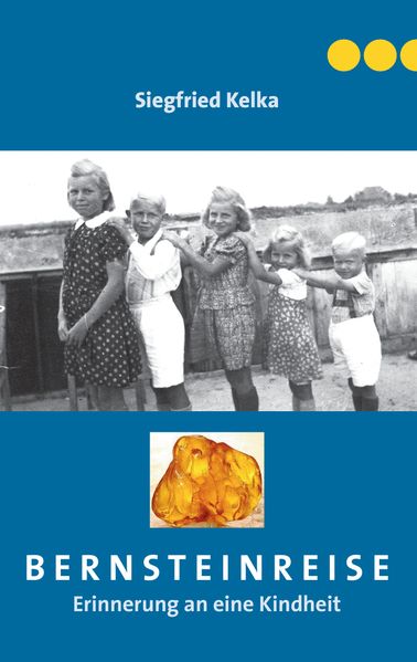 Cover von Bernsteinreise
