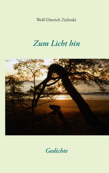 Cover von Zum Licht hin