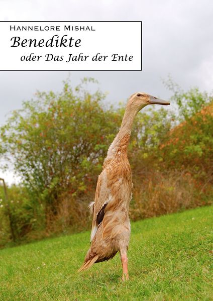 Cover von Benedikte oder das Jahr der Ente