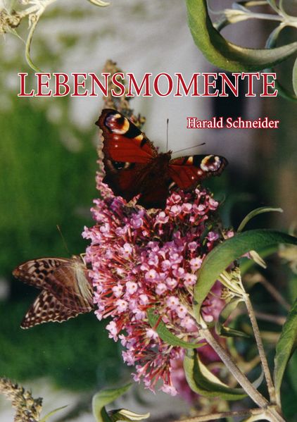 Cover von Lebensmomente