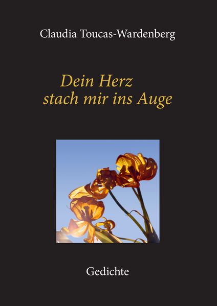 Cover von Dein Herz stach mir ins Auge